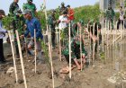 PERINGATI HUT KE-81 TNI, KODIM 0620/KAB. CIREBON GELAR PENANAMAN MANGROVE DAN BERSIH-BERSIH PANTAI